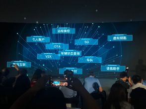 智能网联汽车 自主研发的开始笑 纯外包的只能哭
