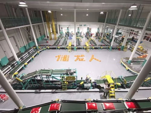 漳州佳龙 一站式智能包装服务助力米厂工人解放双手